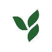 Herbalife