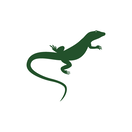 Jabón Lagarto