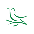 Jolca