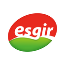 Esgir
