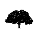 Tree Hut