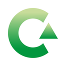 Grupo Carinsa