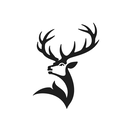 Glenfiddich Whisky
