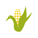 Interpalm