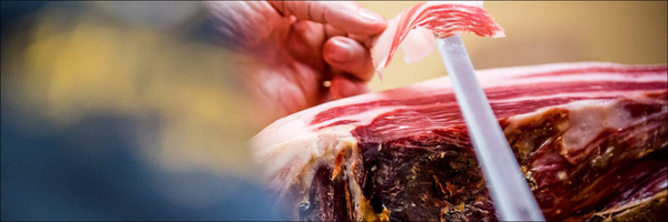 canaldis-sanchezalcaraz-banner.png