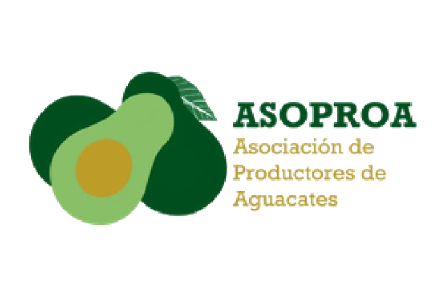 Asociación de Productores de Aguacates