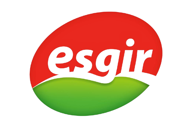 Esgir, S.L.