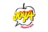 Joya Europe Team
