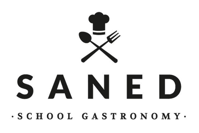 Saned, S.A.