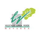 La Línea Verde