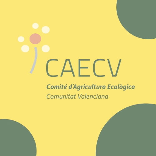 Presentación de datos de la Campaña Ecológica 2025