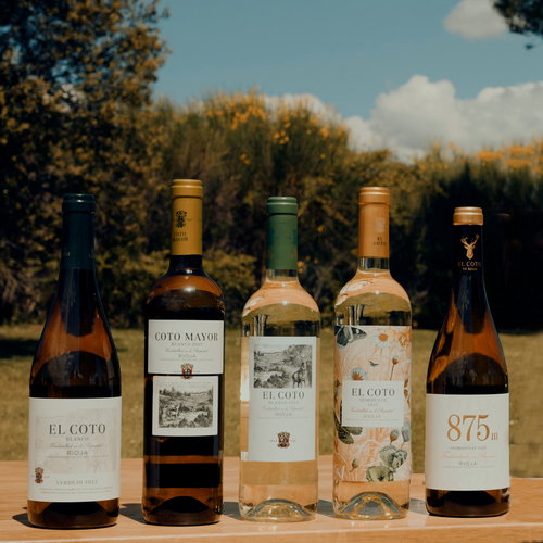 Los 5 vinos blancos de El Coto de Rioja para disfrutar este verano: un vino perfecto para cada ocasión