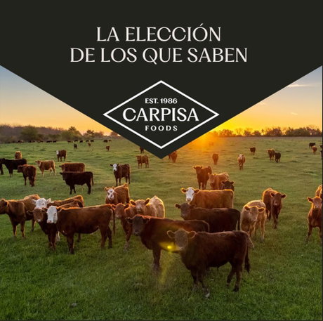 Rebranding - Carpisa 2.jpg