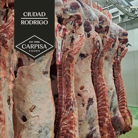 Rebranding - Carpisa 3.jpg