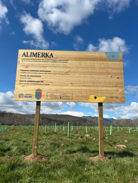 Bosque Alimerka.jpg