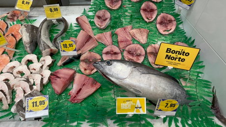 Alimerka - Bonito del Norte 3.jpeg