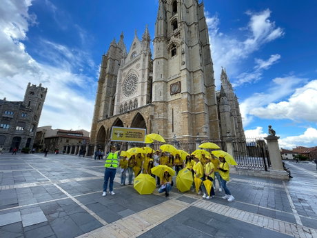 Yellow Day 2024.jpeg
