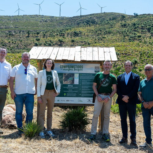 Carrefour, FSC y Mahou San Miguel impulsan la recuperación ambiental en Tarifa tras el incendio de 2024