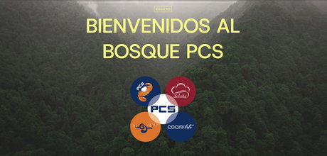 Bosque PCS.jpg