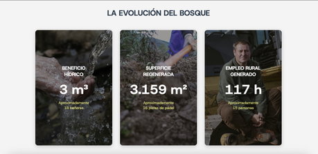Evolucion.jpg