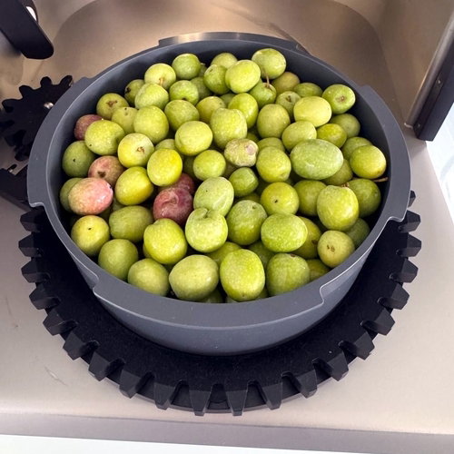 Vidabol Castilla-La Mancha comienza la próxima semana su recogida de aceituna, con una cosecha similar al pasado año