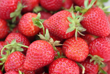 Fresas Dia.jpg