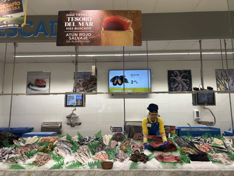 Atún Rojo de Almadraba en las pescaderías de Alimerka.jpg