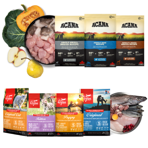 Donde el instinto natural se une a la experiencia en nutrición animal y a la ciencia alimentaria: la base de la propuesta de valor de Champion Petfoods para perros y gatos