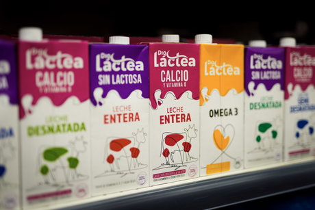 España - Leche Dia Lactea - lineal.jpg