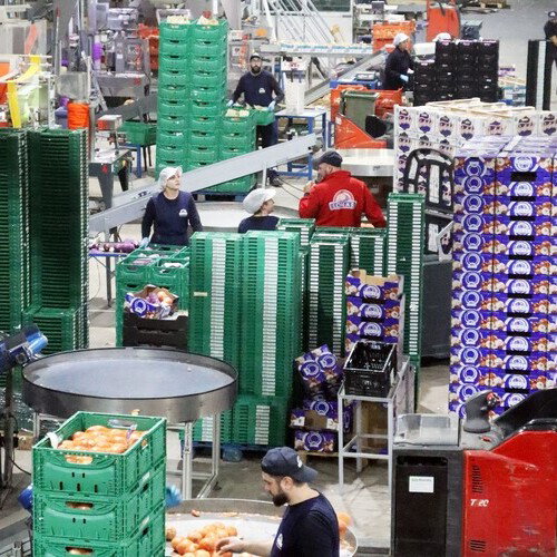 Grupo Lomar alcanza los 60 millones de euros de facturación tras crecer un 20%