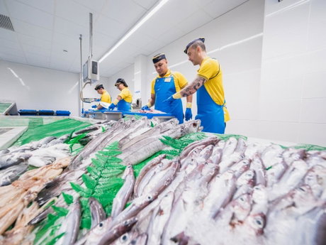 Aula de pescadería.jpg
