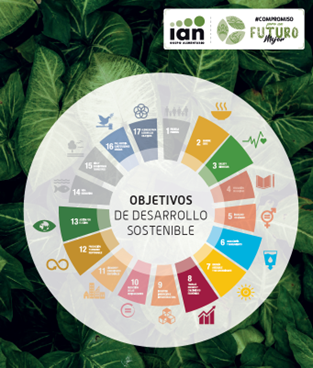 Grupo IAN_ODS.png