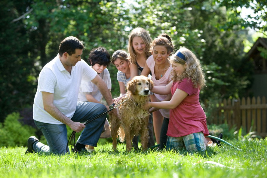 8 de cada 10 españoles incluyen a su perro en las fotos familiares y lo incorporan en su día a día como un miembro más