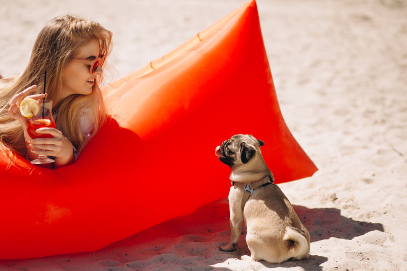PSH propone el tándem imprescindible con aloe vera para cuidar la piel y el pelaje de perros y gatos este verano
