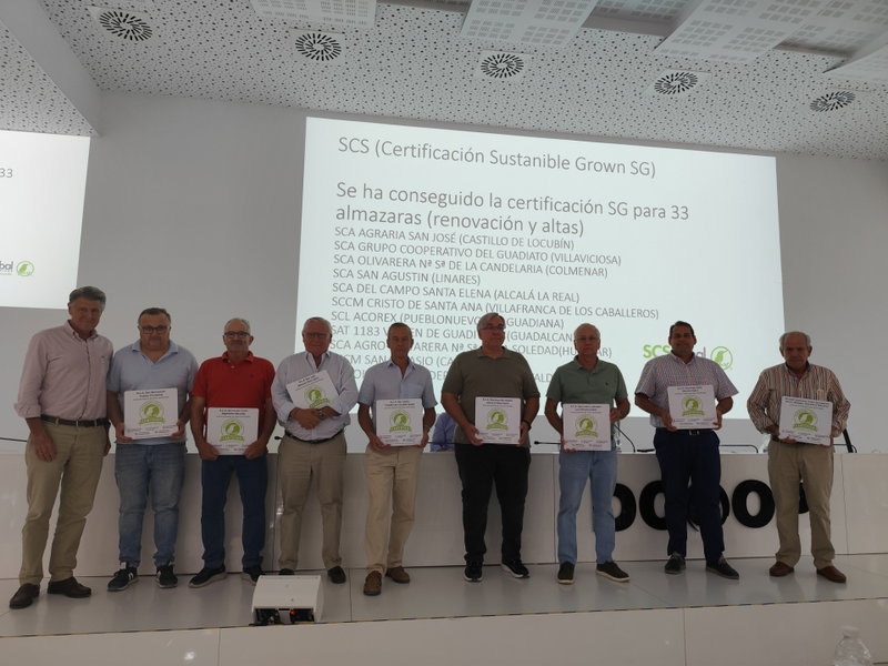 Dcoop suma 33 cooperativas certificadas en sostenibilidad del aceite de oliva a lo largo de toda la cadena de valor