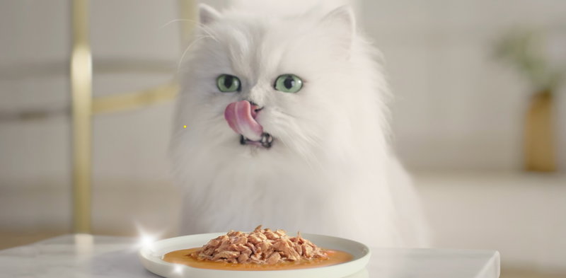 Purina Europa relanza GOURMET™ Perle celebrando la calidad y el cuidado en cada receta