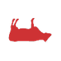 Redefine Meat