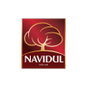 Navidul