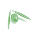 ASOLIVA