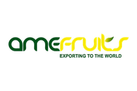 Amefruits