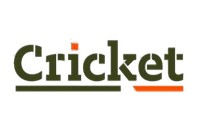 Cricket