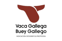 Indicación Geográfica Protegida Vaca Gallega/Buey Gallego