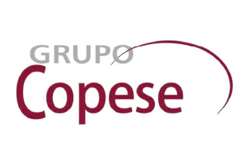 Grupo Copese