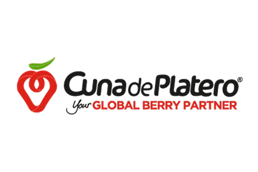 Cuna de Platero