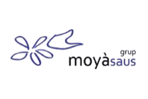 Grupo Moyà Saus
