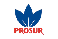 Prosur