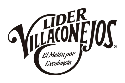 Líder Villaconejos