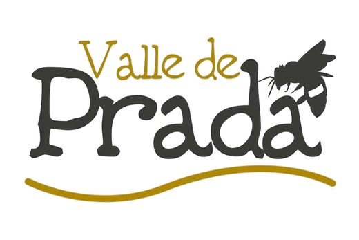 Miel Valle de Prada
