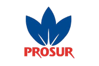 Productos Sur, S.A.U.