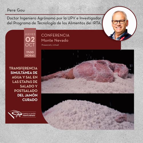 Conferencia-Pere Gonu-transferencia simultánea de agua y sal durante el proceso de curado del jamón .jpg